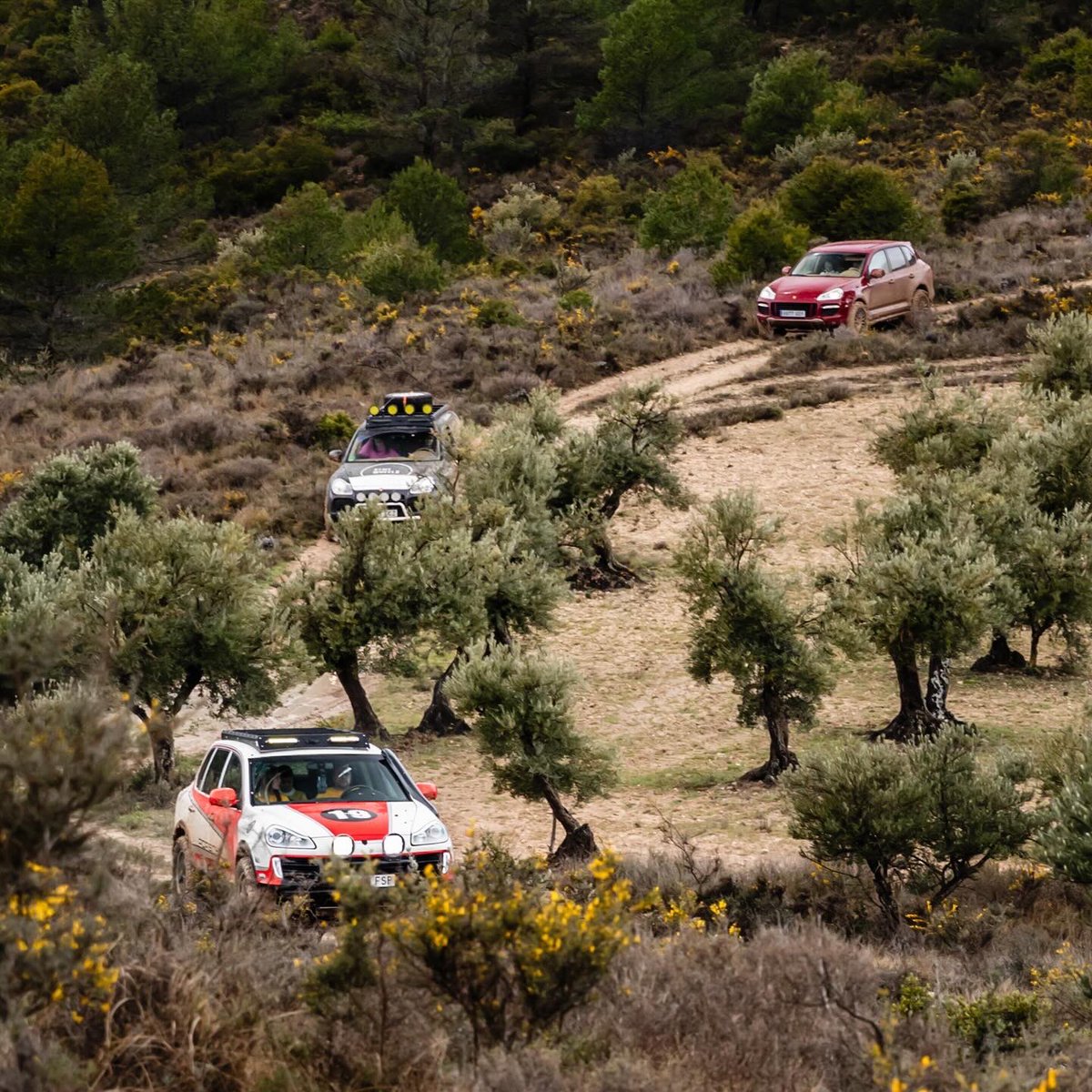 cmagudo's tweet photo. Disfrutando mi tierra!
#OffRoad La Alcarria 
@porscheclubespana 

No hubiera podido acabar sin la ayuda de mi amigo @sergiobermejocorral asistencia técnica @bymywheels GRACIAS 

#porsche #porscheclub #porscheclubespaña #porscheoffroad #cayenneoffroad #porschecayenne #porschelife https://t.co/qLxFtQrvNC