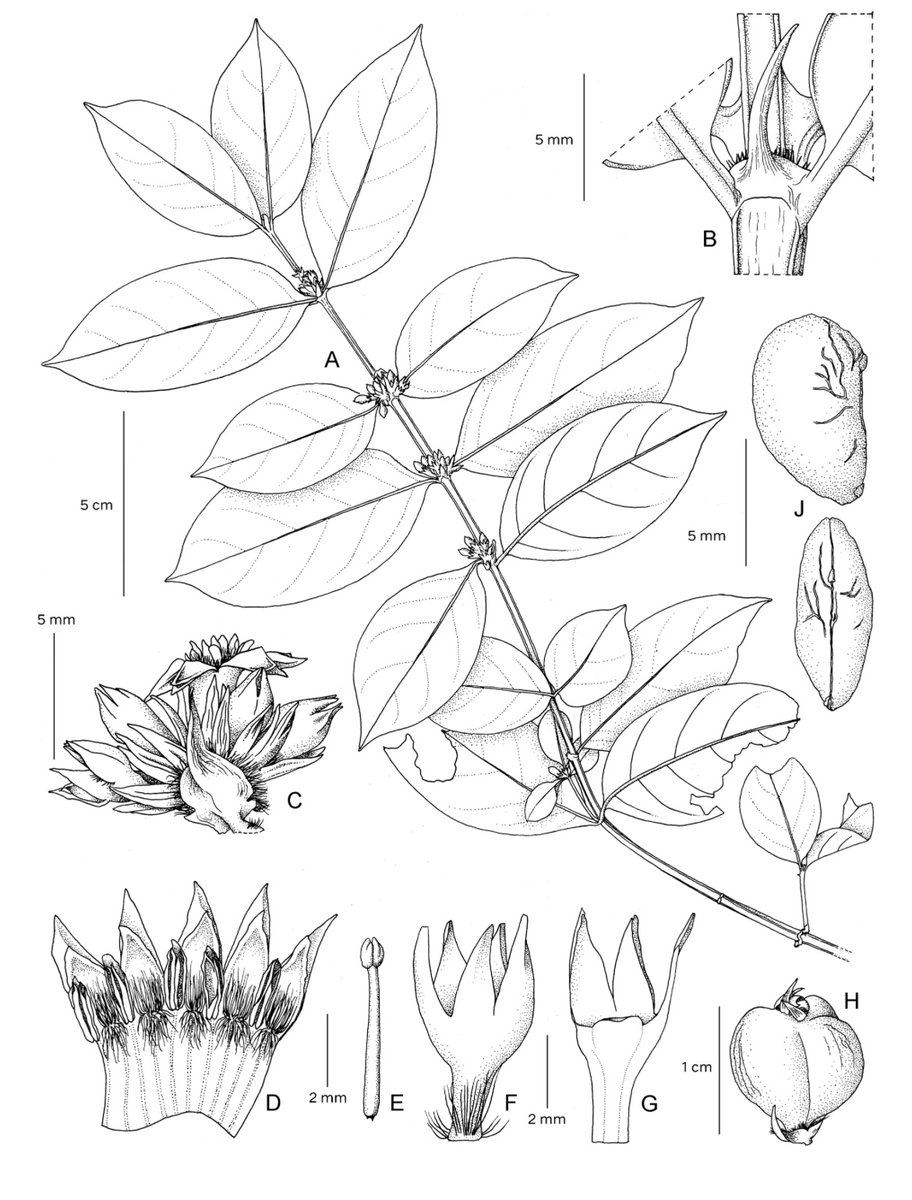 Iain Darbyshire tweet media
