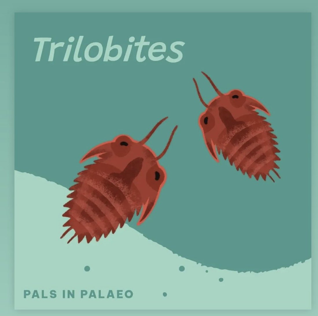 I’m happy to announce that my guest appearance on Pals in Paleo is now live! Get it wherever you cast your pods!

linktr.ee/palsinpalaeo?f…