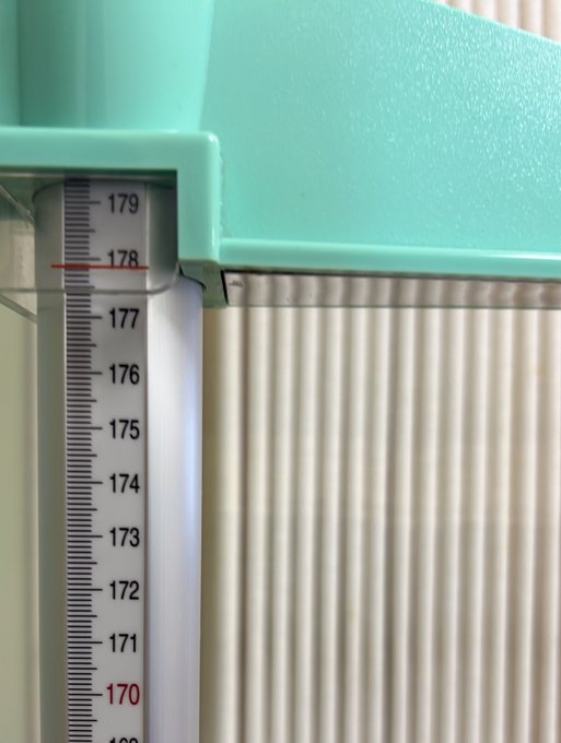 雅（みやび）のTwitter画像5