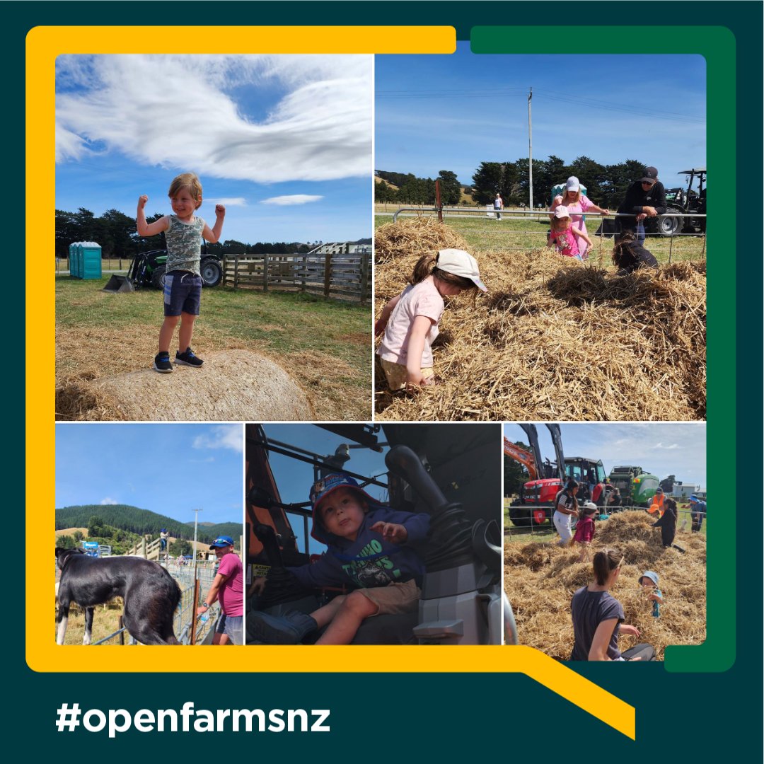 More snaps from Sunday's Open Farms event at @MangaroaFarms - which was the largest ever event we've had with 737 attendees!