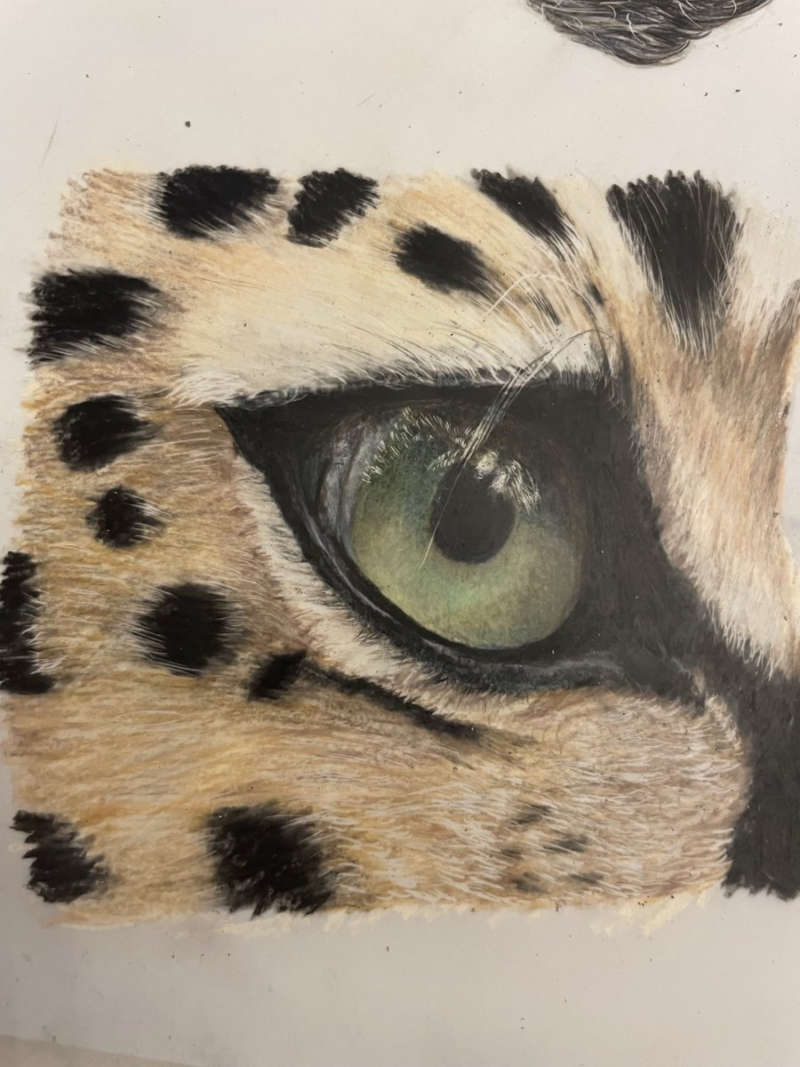 I’ve been really brave sharing my journey of my discovery with art. This was one I completed as a tutorial with #bonnysnowdonaxademy  I am loving drawing eyes #colourpencils photo credit: unsplash