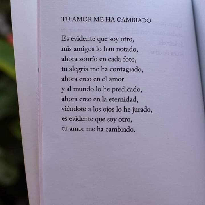 Abrahamcalls's tweet photo. @bebeshitadany Todos miraran tu fama pero no tu corazón 😘 https://t.co/OGxtkhicFS