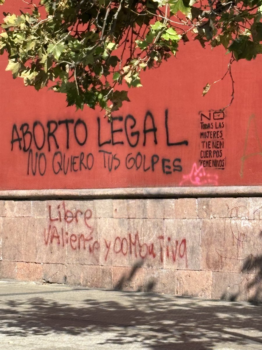 Fascistas vandalizan iglesia de San Francisco para poner sus consignas

Al ser monumento histórico es un delito. Pero como son octubristas no pasa nada.