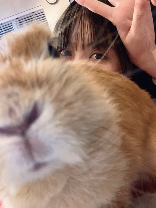 Twitterのコスプレ画像10