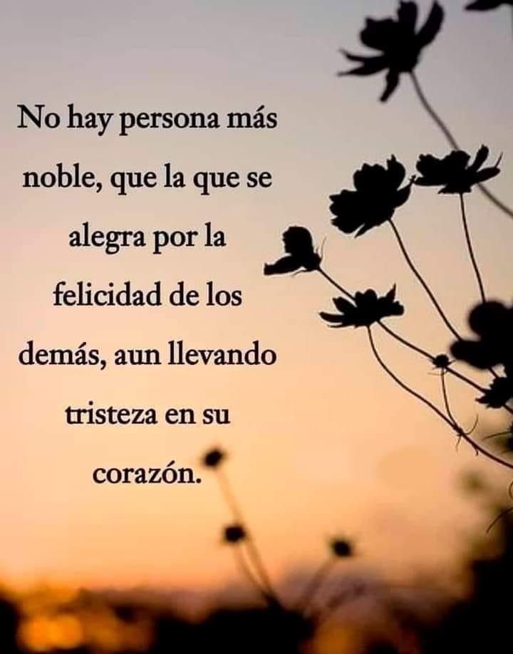 PauloCoelhoDice's tweet photo. https://t.co/OngpuJ0Rbv