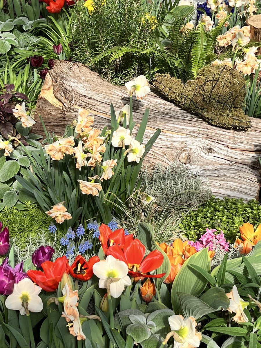 ziggywlb's tweet photo. @cityofhamilton 🥰💐🌷🌼🐝☀️ https://t.co/oGNfNERbQY