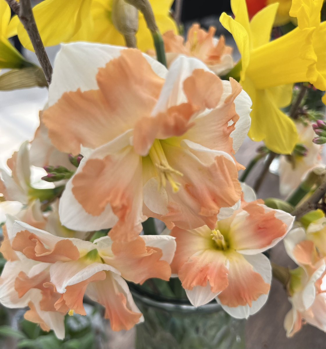 ziggywlb's tweet photo. @cityofhamilton 🥰💐🌷🌼🐝☀️ https://t.co/oGNfNERbQY