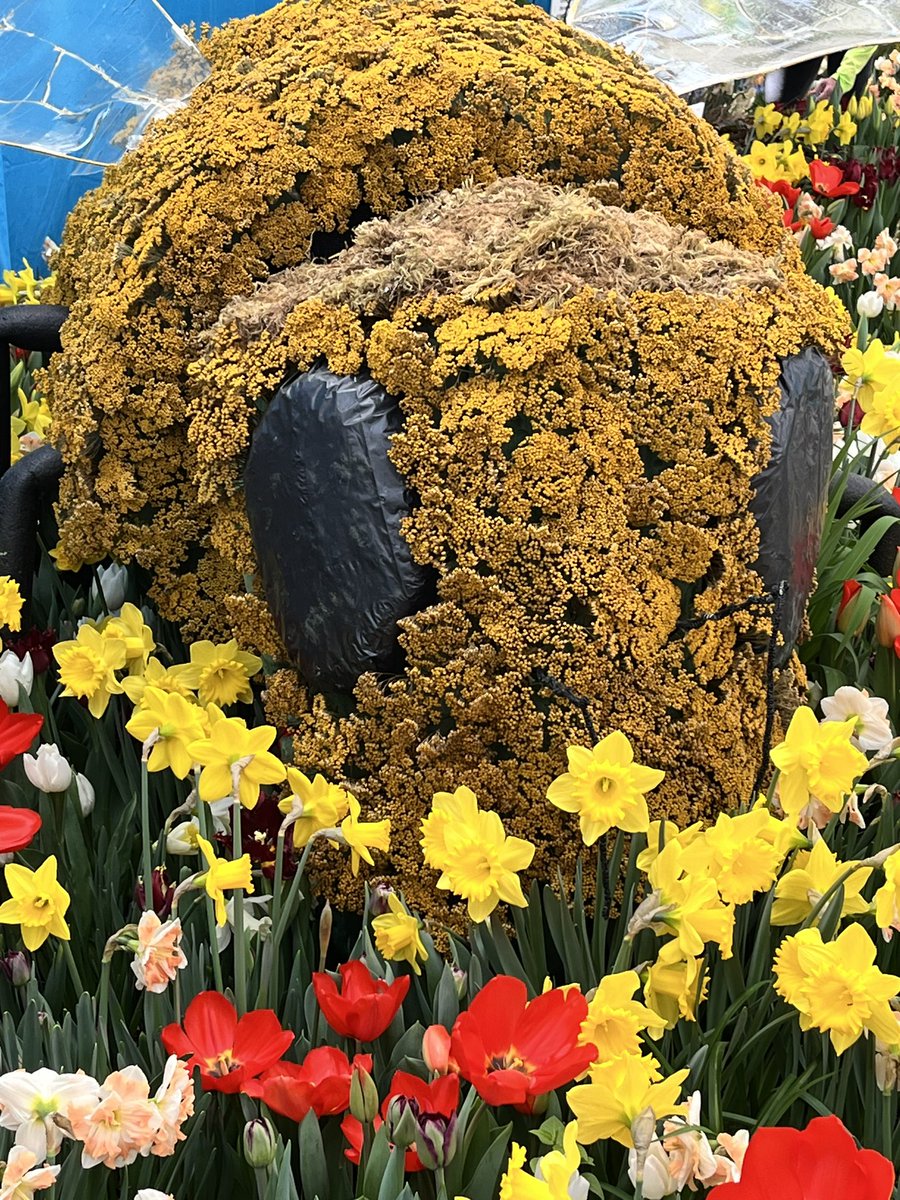 ziggywlb's tweet photo. @cityofhamilton 🥰💐🌷🌼🐝☀️ https://t.co/oGNfNERbQY