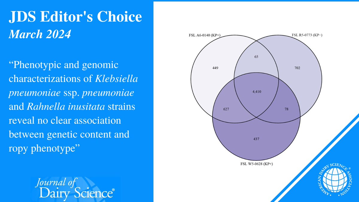 Ropy defect of pasteurized #fluidmilk is a type of spoilage causing a string-like flow during pouring. In a new #JournalofDairyScience article (doi.org/10.3168/jds.20…), a @CornellCALS team dug into the potential genetic basis for ropiness in milk.