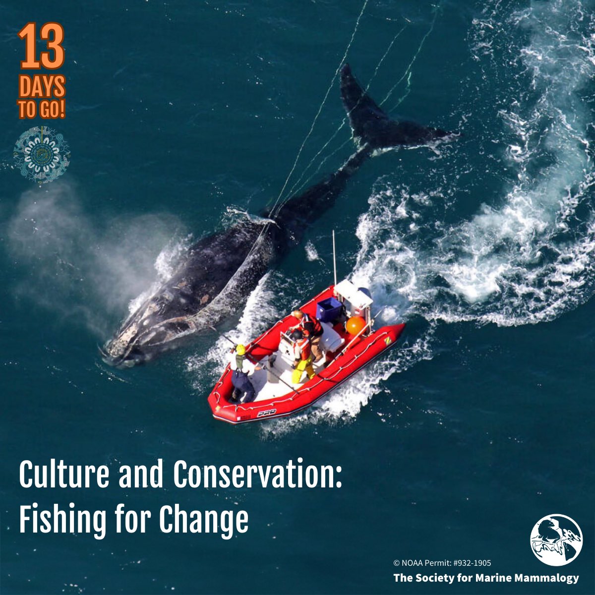 Countdown alert! Submit your abstract/workshop, or sign up as a reviewer for #PerthSMM2024 by 26 March! Theme: “Culture and Conservation: Fishing for Change”. Share your insights on combating marine mammal threats. To submit, head to smmconference.org #SMM #marinemammalogy
