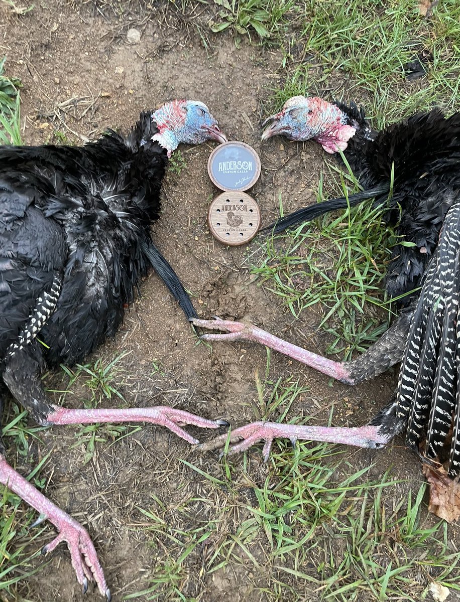 BrofessionalHNT's tweet image. Going to be collaborating with Anderson Custom Calls on a turkey season giveaway! Stay tuned for details! 
•
•
#turkeyhunter #turkeyseason #turkeycall #gobbler #turkeycalls #cantstoptheflop #thunderchicken