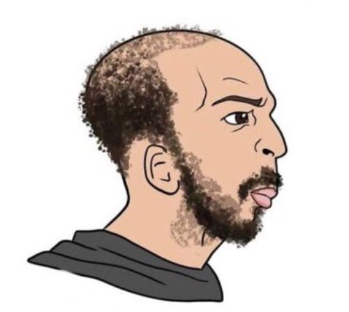 "you bitcoin maxi's are fukkin losers bro, come traffic some humans with us maxg's and join my subscription plan"