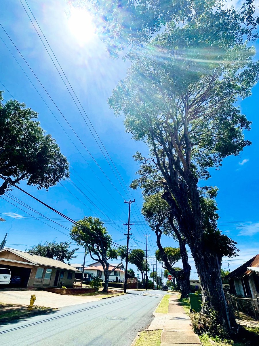 ken_nobuyoshi's tweet photo. 昨日までの強風もどこへやら🌬️
今日は穏やかな良い天気です☀️
カイムキの住宅街を妻とてくてく歩いてます🚶‍♂️🚶‍♀️ https://t.co/ra8TDKt7DC