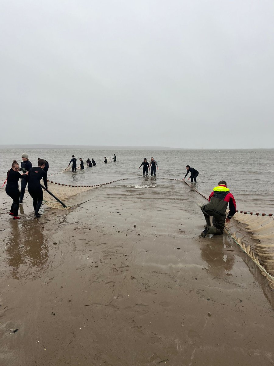 Nicole Esteban tweet media