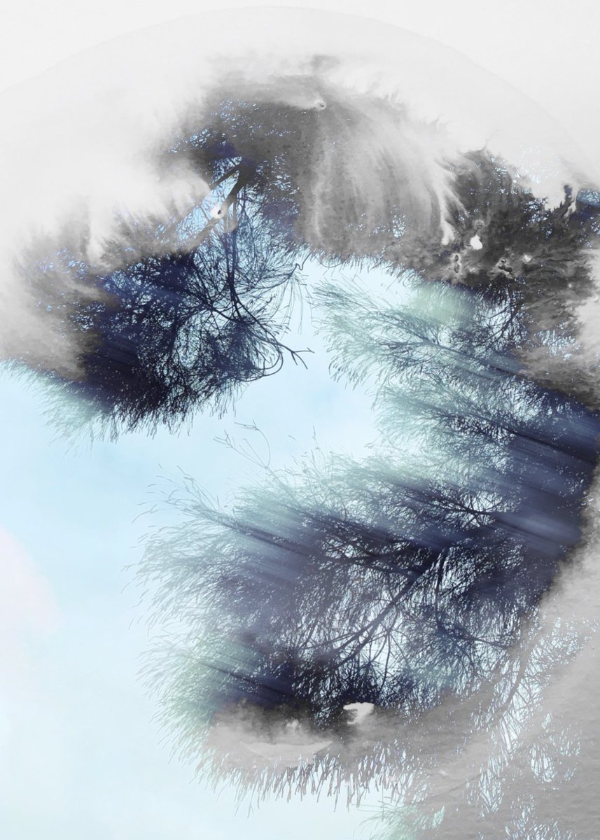 this is S T I L L  |  L I F E 

If we 
      stood still 
           for a moment 
                and
shifted our gaze to the 
                     heavens 
to marvel at the 
                     beauty and awe 
  of the life
             around us

aurelio 13 - mar / 2O24