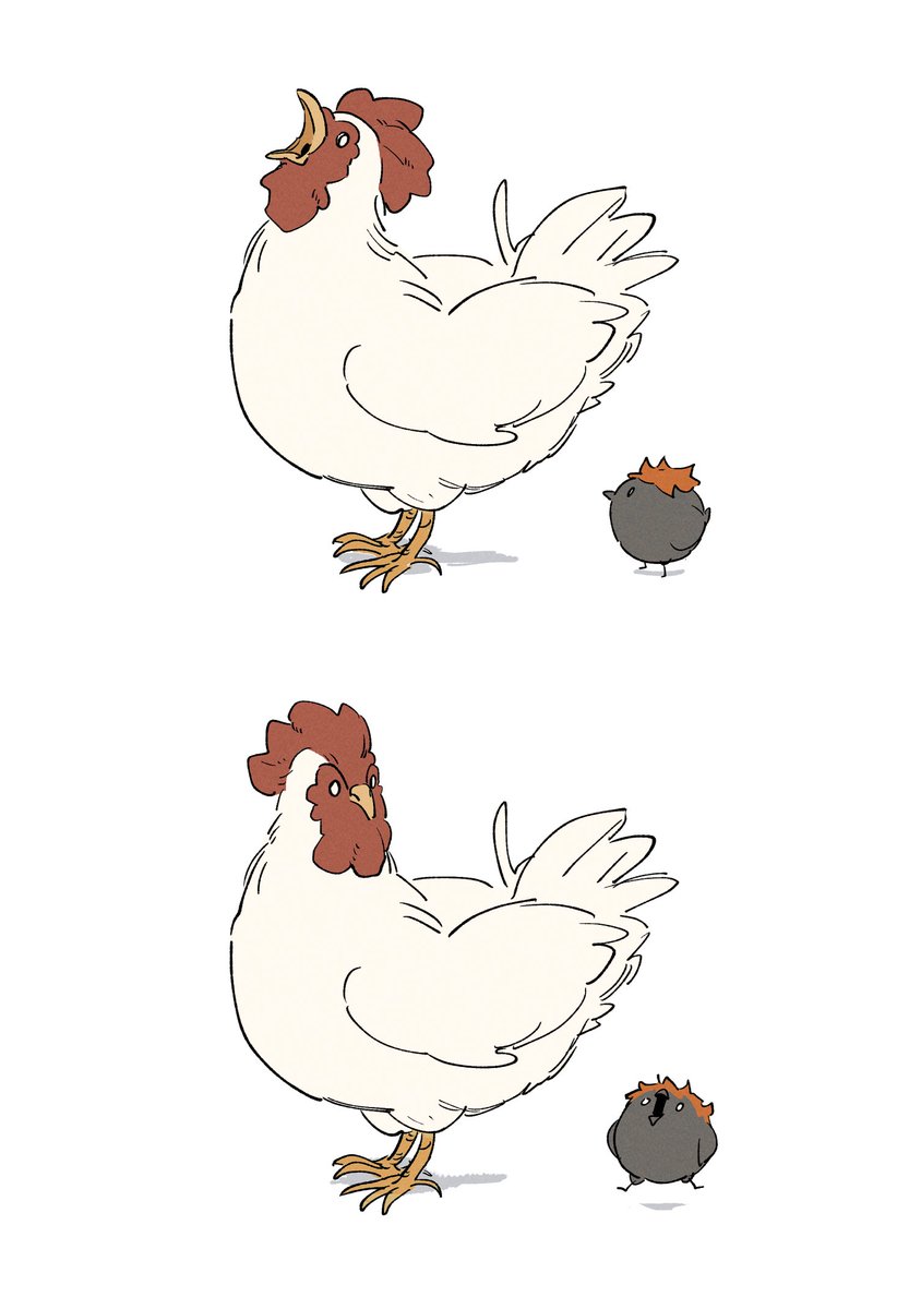 no humans white background bird simple background animal focus animalization chicken  illustration images