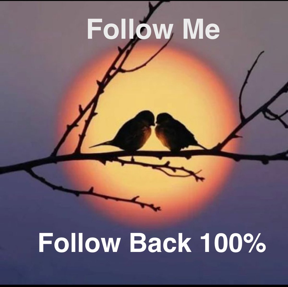Nobody (@just_1947) on Twitter photo <a href="/coffee_love462/">❄️☕️Maddy - IFB☕️❄️</a> <a href="/Lea_Dhai/">🐥𝒫𝓇𝒾𝓃𝒸𝑒𝓈𝓈 ℒ𝑒𝒶𝒽 ⭕️130 K👑</a> <a href="/LavorattoIvonne/">Lavoratto Ivonne</a> <a href="/Jemaco40/">@Jemaco40</a> <a href="/GuiverMiguel/">Rod Sam Molder</a> <a href="/MarcelaErcia/">🕉MARCE🐉⚖ #MarceTeAyuda🔮#MarceLive🔄 Meme y Popi</a> <a href="/Krklm/">𝓗𝓪𝓴𝓪𝓷</a> <a href="/4523165Q8g7/">りか👑💕</a> <a href="/Tech1839/">Дмитрий</a> <a href="/kiwinizzel1/">Kiwi Patriot 🇳🇿🇸🇪🇺🇸🥊 🏈🏄🏽♂️ 🏌🏼♂️ MAGA</a> <a href="/seraichiban3/">伊緒里のセーラー服🇯🇵🍥⏰🦄🌈🇫🇷🍒🌸💫</a> <a href="/Y6s8D8vmnCo394k/">☀️まっちゃん☀️ For you🤝</a> <a href="/cknlaw1/">🌐ニシ🍥⚖️</a> <a href="/its_noor19/">Noor_hu_yar</a> <a href="/RosesLove462/">🌹Maddy🌹- IFB</a> <a href="/Mila_Love5/">🎀 Maddy 🎀 - IFB 🎀</a> <a href="/NAZIR_1111/">Ṁ२ि 💗ƝȺƵḮ२ि 💗11</a> <a href="/Spencerjames211/">Spencer James #GAINWITHPETAL #TMPETAL #Teamspirit</a> Thank you for adding me, I'm sure I've followed everyone who has followed me! And retweeted, hope you all have a lovely day 🙌
<a href="/just_1947/">Nobody</a> <a href="/its_noor19/">Noor_hu_yar</a> <a href="/coffee_love462/">❄️☕️Maddy - IFB☕️❄️</a> <a href="/Lea_Dhai/">🐥𝒫𝓇𝒾𝓃𝒸𝑒𝓈𝓈 ℒ𝑒𝒶𝒽 ⭕️130 K👑</a> <a href="/LavorattoIvonne/">Lavoratto Ivonne</a> <a href="/Jemaco40/">@Jemaco40</a> <a href="/GuiverMiguel/">Rod Sam Molder</a> <a href="/MarcelaErcia/">🕉MARCE🐉⚖ #MarceTeAyuda🔮#MarceLive🔄 Meme y Popi</a> <a href="/Krklm/">𝓗𝓪𝓴𝓪𝓷</a> <a href="/4523165Q8g7/">りか👑💕</a> <a href="/Tech1839/">Дмитрий</a> <a href="/kiwinizzel1/">Kiwi Patriot 🇳🇿🇸🇪🇺🇸🥊 🏈🏄🏽♂️ 🏌🏼♂️ MAGA</a> <a href="/seraichiban3/">伊緒里のセーラー服🇯🇵🍥⏰🦄🌈🇫🇷🍒🌸💫</a> <a href="/Y6s8D8vmnCo394k/">☀️まっちゃん☀️ For you🤝</a> <a href="/cknlaw1/">🌐ニシ🍥⚖️</a> <a href="/its_noor19/">Noor_hu_yar</a> <a href="/RosesLove462/">🌹Maddy🌹- IFB</a> <a href="/Mila_Love5/">🎀 Maddy 🎀 - IFB 🎀</a> <a href="/NAZIR_1111/">Ṁ२ि 💗ƝȺƵḮ२ि 💗11</a> <a href="/Spencerjames211/">Spencer James #GAINWITHPETAL #TMPETAL #Teamspirit</a> Thank you for adding me, I'm sure I've followed everyone who has followed me! And retweeted, hope you all have a lovely day 🙌
<a href="/just_1947/">Nobody</a> <a href="/its_noor19/">Noor_hu_yar</a>