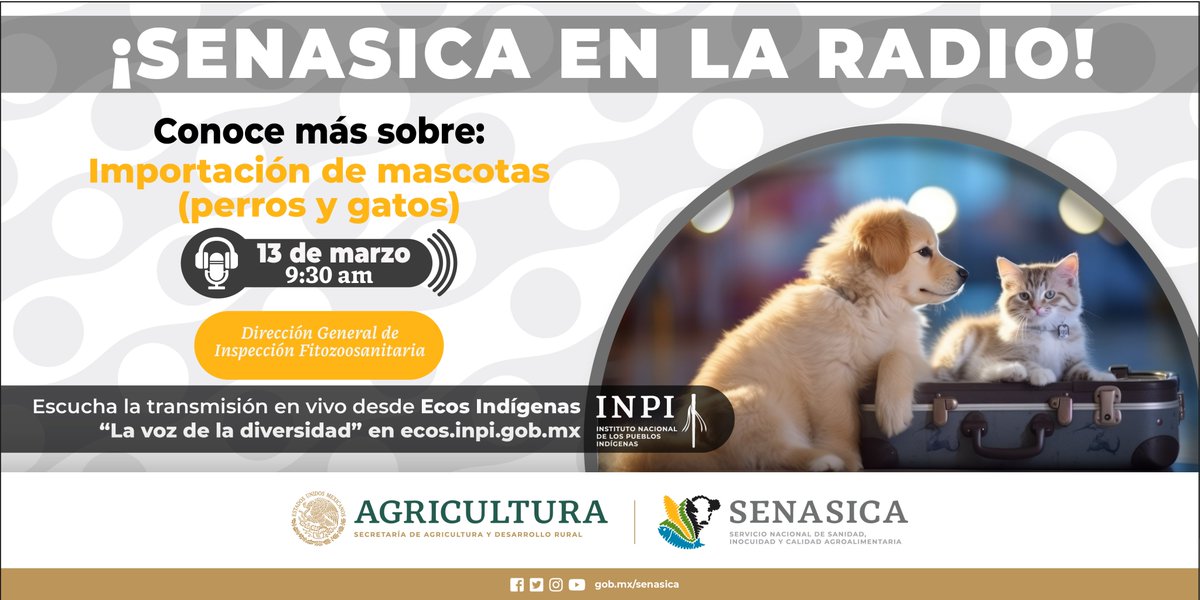 SENASICA's tweet photo. 🎉🐾¡Escucha la entrevista sobre la importación de mascotas y únete a la conversación en https://t.co/fG5M35Qsc2 📻La cita es este miércoles 13 de marzo a las 9:30 en Ecos Indígenas. 🐱🐶 #ImportaciónMascota #ViajeroMascota https://t.co/9tm3efrqm7