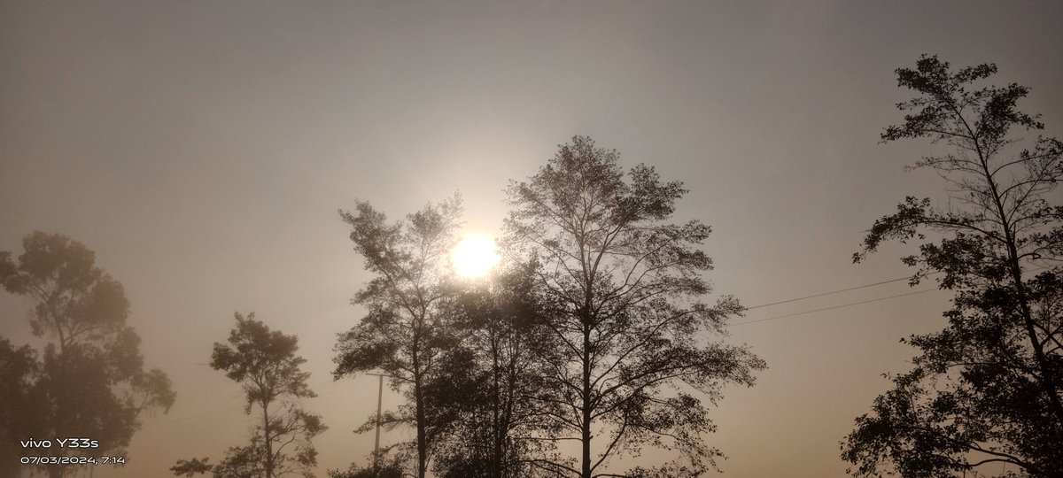 JRodrigud's tweet image. 