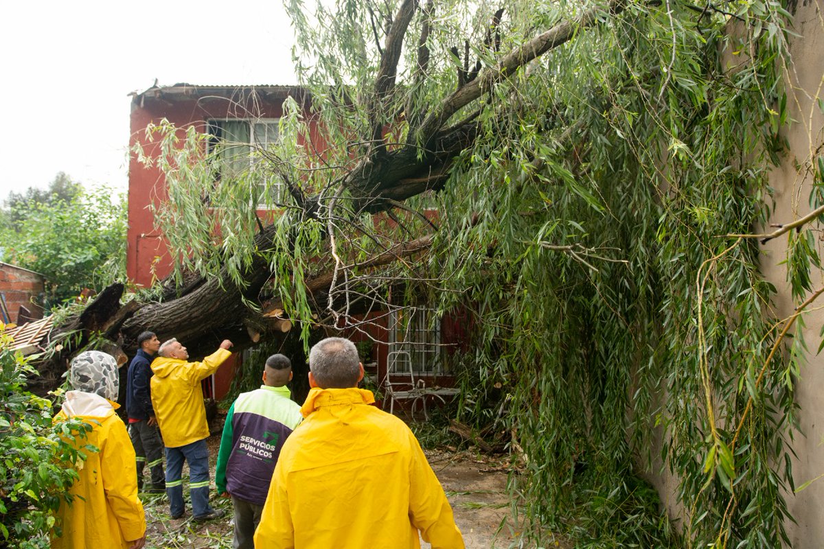 🏡🤝🏽 Seguimos asistiendo a los vecinos y vecinas que sufrieron daños en sus viviendas por la caída de árboles.

🙌🏽 A través de la secretaria de Servicios Públicos, estamos llegando a cada punto del distrito para resolver las obstrucciones en la vía pública.

<a href="/nico_mantegazza/">Nicolas Mantegazza</a>