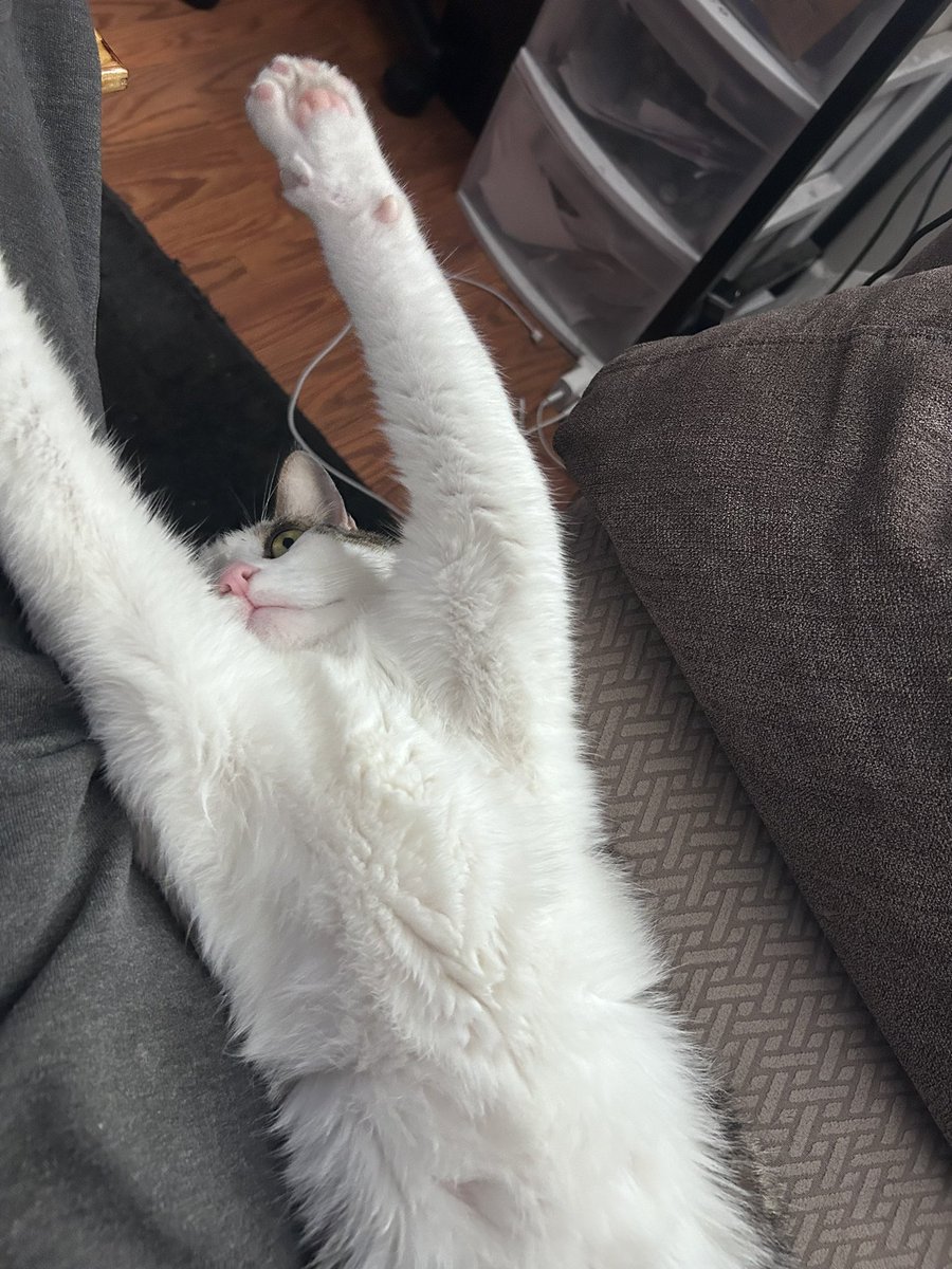 CrotonLodge tweet media