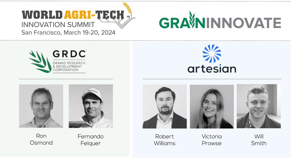 GrainInnovate is participating in #Worldagritech2024 in #SanFrancisco next week. GrainInnovate est. in 2019 by @theGRDC is managed by @artesianvc. GrainInnovate invests in #agrifood startups (globally) driving the future profitability & sustainability of Australian grain growers