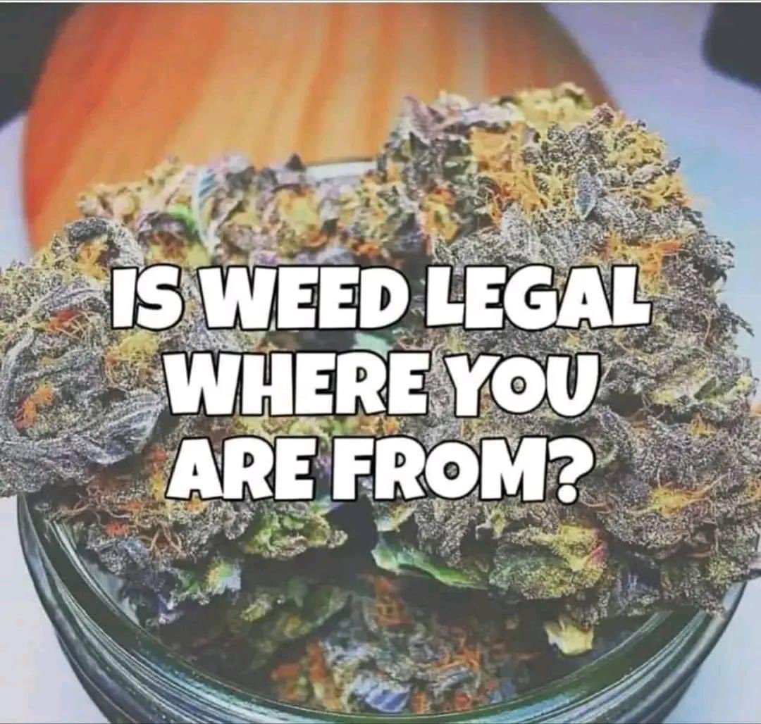 iFlyHigh™ 🎄 tweet media
