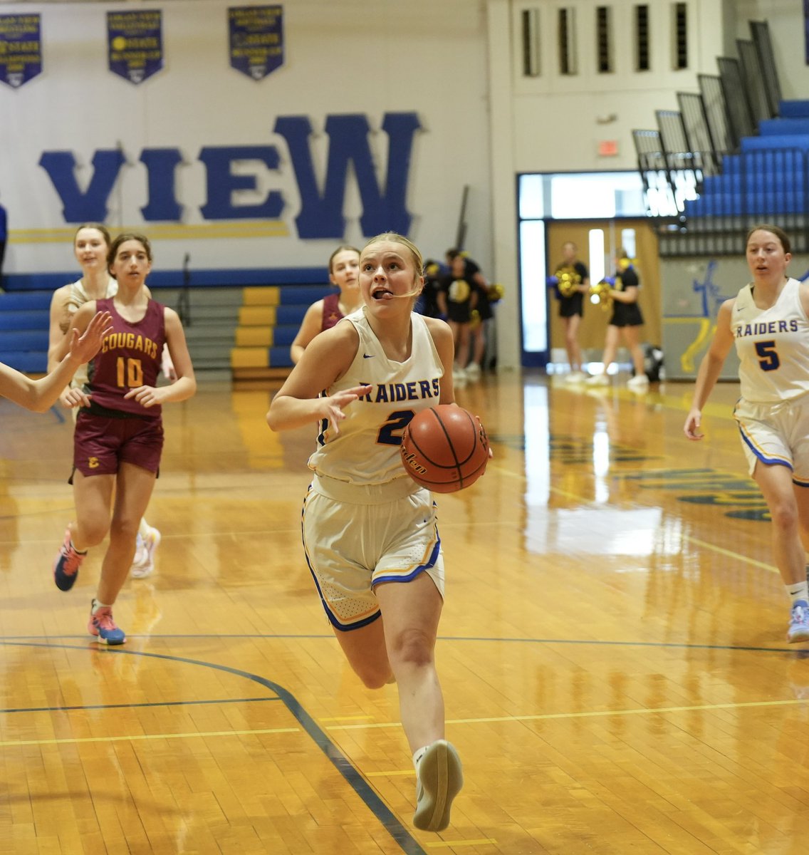 LVSS Girls Basketball tweet media