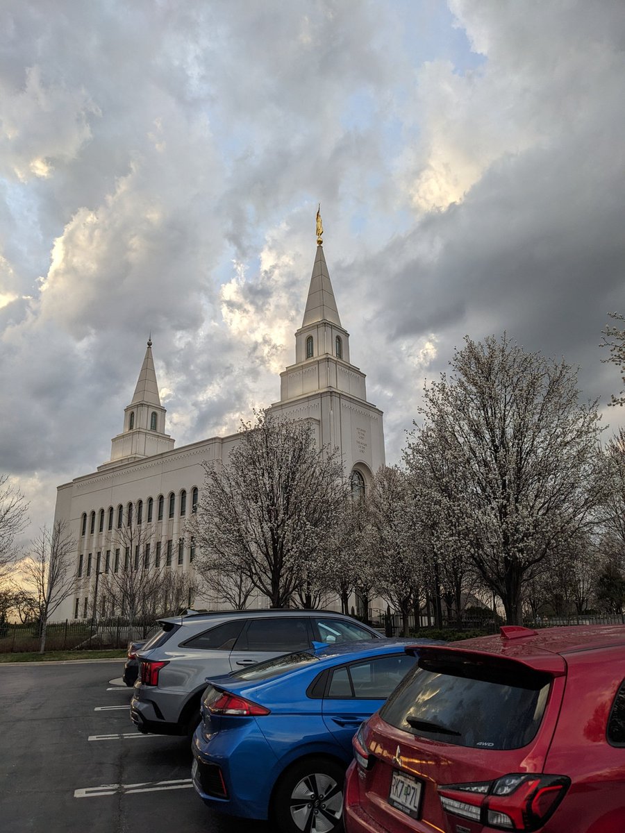 slc_saint's tweet image. Hello beautiful!
Need moral support tonight because we&apos;re assigned to clean the temple and I&apos;ll be pushing a vacuum! This is a crisis shelf breaker - please help me keep my testimony.