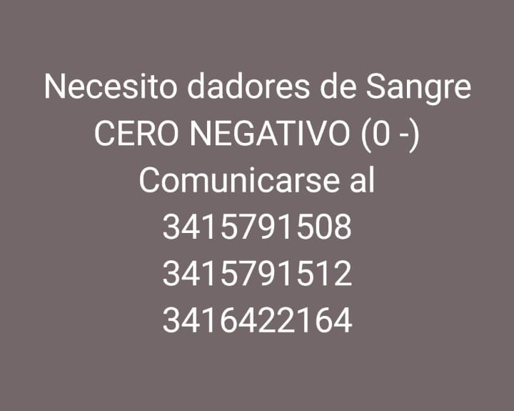 AgustinGranatto's tweet photo. Atención, la chica no falleció.

Se encuentra internada en grave estado y está luchando por su vida.

Los familiares están pidiendo ayuda ya que necesitan dadores de sangre tipo CERO NEGATIVO (0 -).

Se pueden acercar al HECA o comunicarse con los números que figuran en la foto. https://t.co/VSqZx1cjnd
