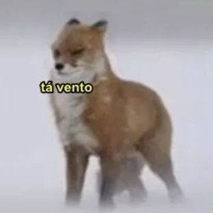 FeralWltch's tweet image. @Kaligrr  ABRE a PORRA da janela?????