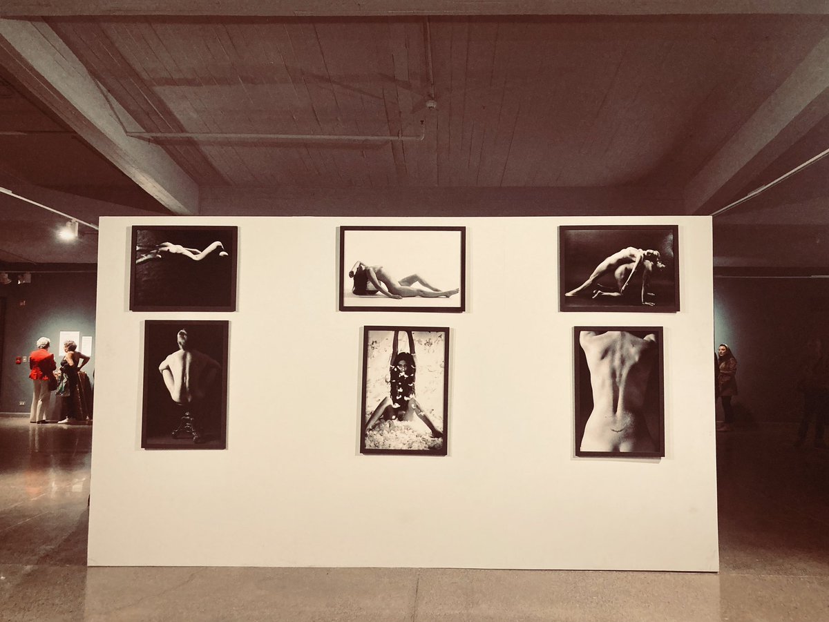 Ibacache's tweet image. Muestra de fotografías de Daniela Miller en #CEINA 📸