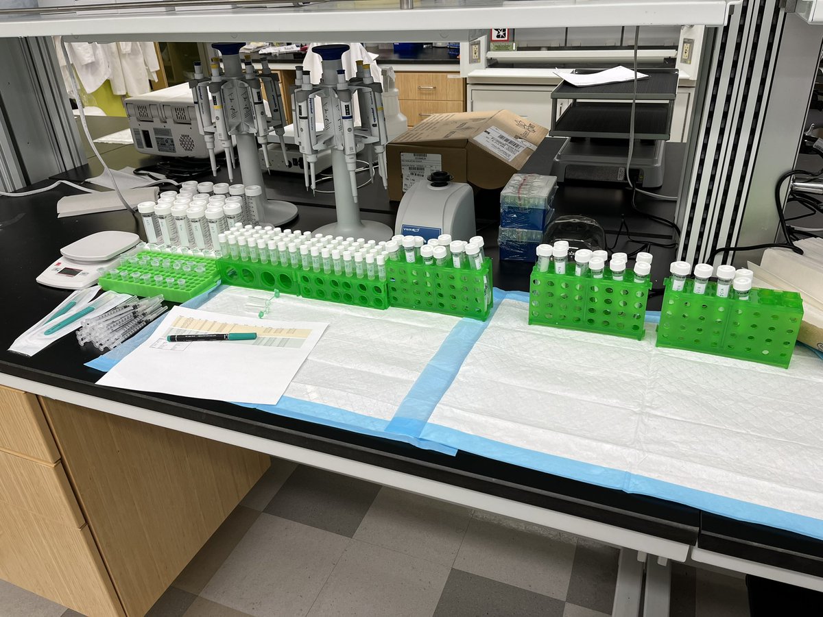 🔥Just prepped my bench for the first experiment in the Dirckx lab tomorrow! 🤩💪 @WUSTLortho @WashU_MRC