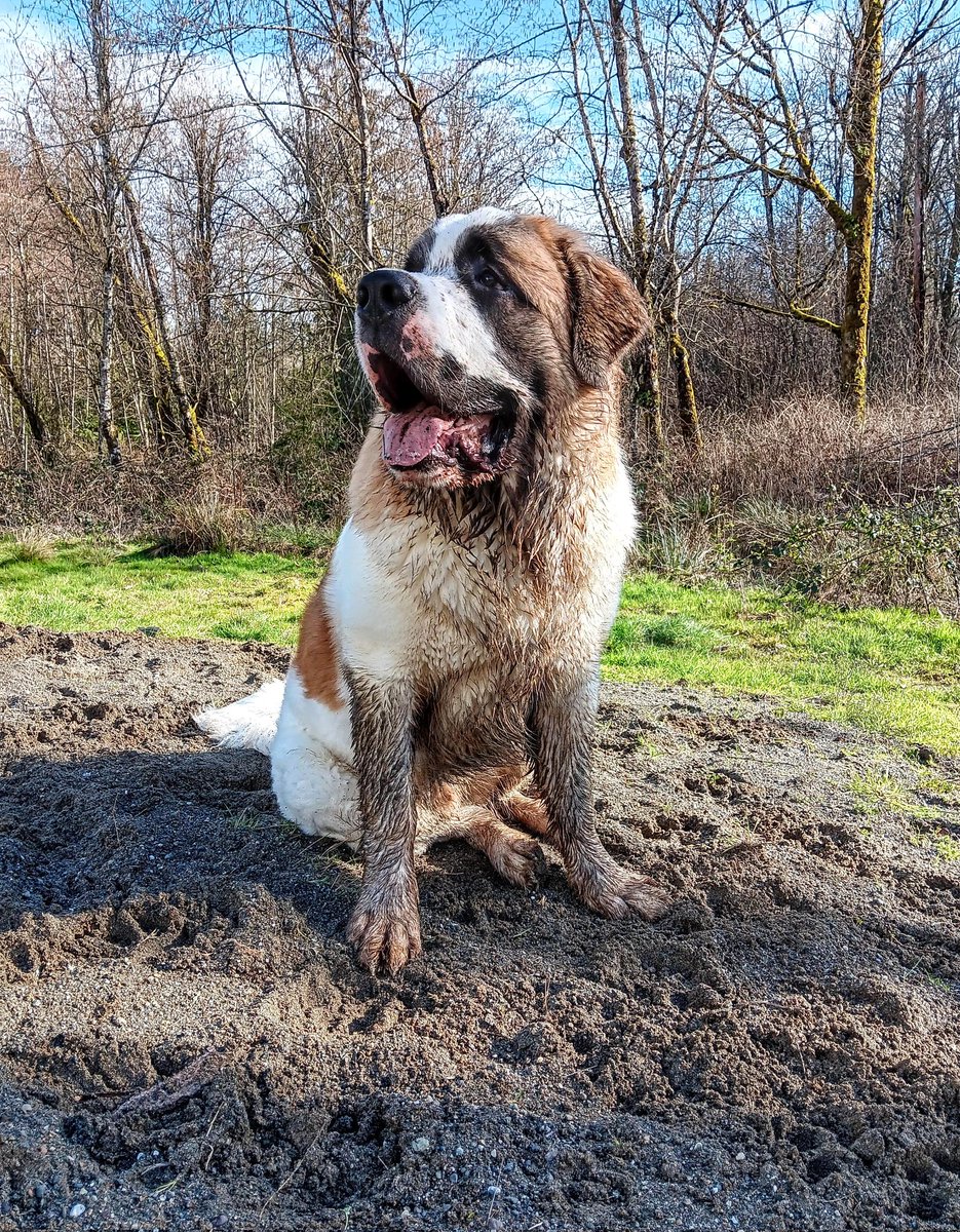 introvertedpnw's tweet image. Rainy morning and a gorgeous sunny afternoon.