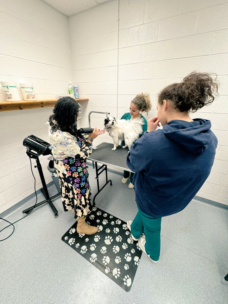 DrLIreland's tweet image. What a day of learning while growing as a leader.   Thank you to New Horizons @VAEducatorCMR for your hospitality and organization. Welding, grooming, cooking, OH MY!
#LeadingAndLearning #SURN #StayAStudent #NNPSStrong