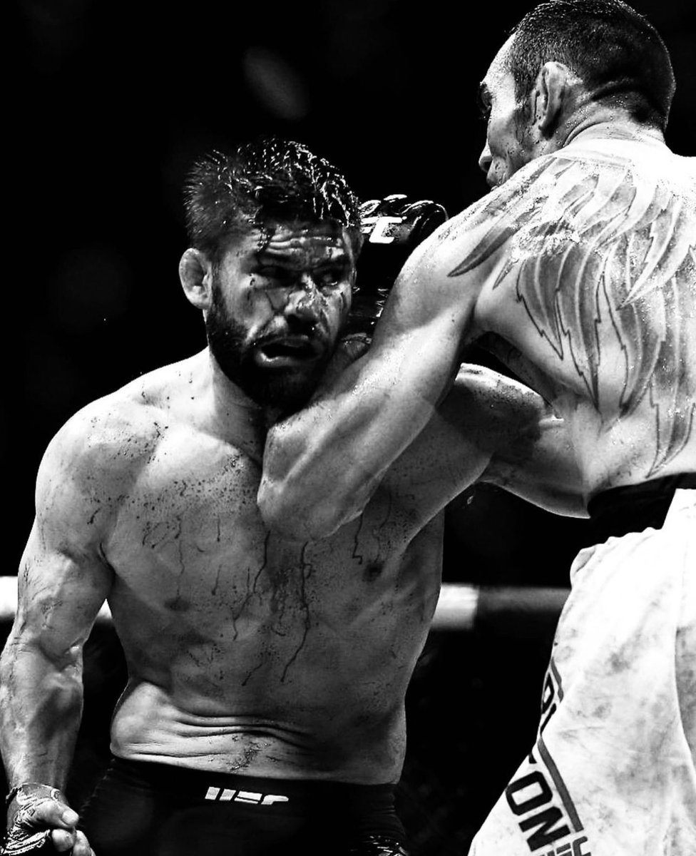 Josh Thomson tweet media