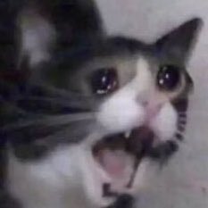 pelisahh's tweet photo. shuben: *masih berwuduk*

me: i rasa macam nak demam la 

him: yeke b? *puts his palm on my forehead*

me: eh???? u dah solat ke? bukan u ada wuduk ke???

him: ASAL U BATALKAN WUDUK I????

me: U YANG PEGANG I VOLUNTARILY

him: YELA SEBAB U GODA I https://t.co/ipMAJid3wR