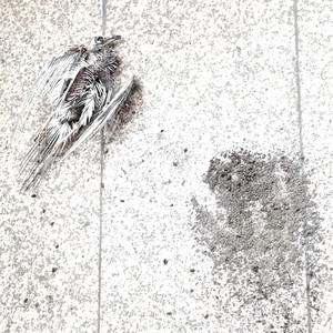 seoul_therapy's tweet image. OUT NOW: 이제는 by YIRUM

🔗open.spotify.com/album/3eNw40N8…

#이제는 #YIRUM