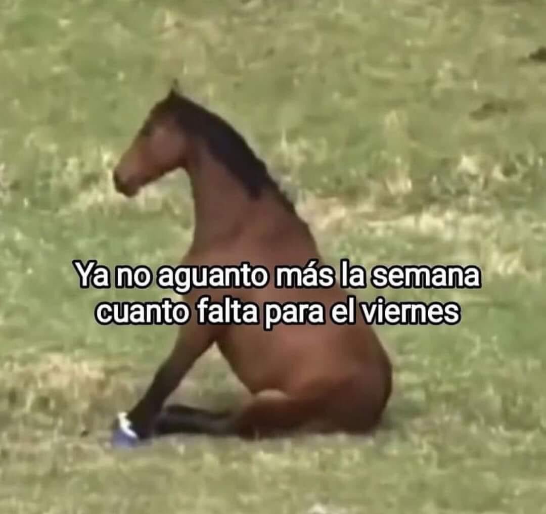 Mood