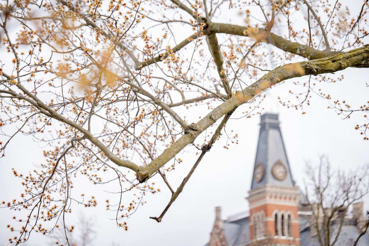 DePauwU's tweet photo. Remember that time we said spring was just around the corner and then got hit with more snow? Well, now spring is *actually* around the corner! 🌷🌞
#DePauw #SpringTakeTwo https://t.co/iBt3KTkEaF