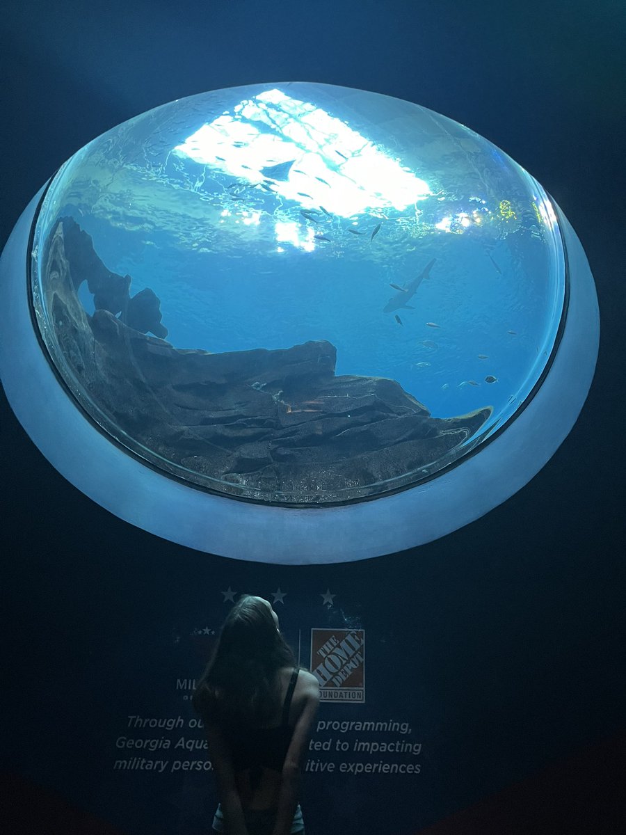 zirisdumb's tweet photo. I went to the aquarium today!! https://t.co/kPvPyMMp2v