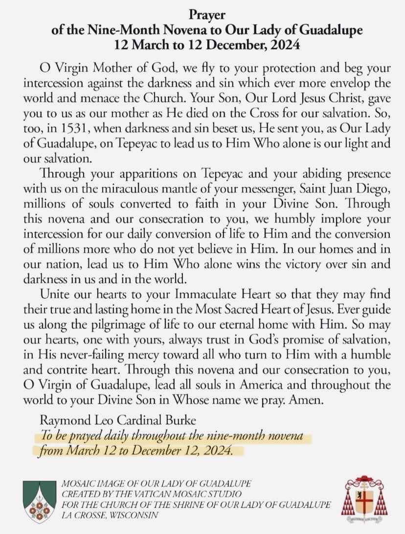 PrayTheRosary's tweet photo. The purpose of this 9 month novena is to gain the protection of Our Blessed Mother in this time of disease, war, and deep spiritual confusion. I join @cardinalrlburke in praying this daily. Our Lady of Guadalupe, pray for us! https://t.co/cTFmv8uD30