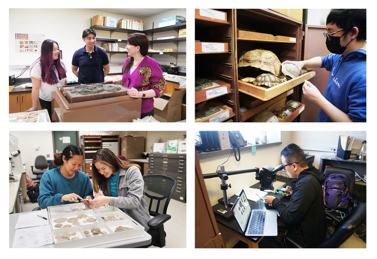 ucmpberkeley's tweet photo. Help the UCMP provide undergraduates with experiences in research, museum science, education and outreach during #calbiggive starting at 9pm Wednesday March 13, 2024! https://t.co/RM7X4alcqY https://t.co/Rqbjj30Ijz