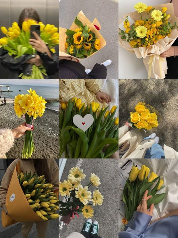 karito930's tweet photo. Yo quiero mis flores amarillas este 21 de marzo 🥲 https://t.co/md1rjA5bvE