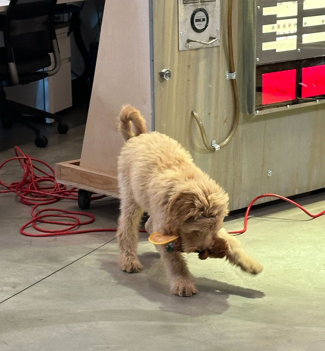 This new intern not doing much tbh