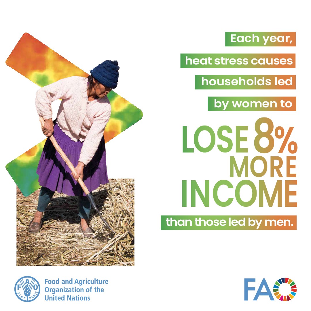 Read the #UnjustClimate report here: fao.org/socioeconomic-… #InvestInWomen @FAOAsiaPacific