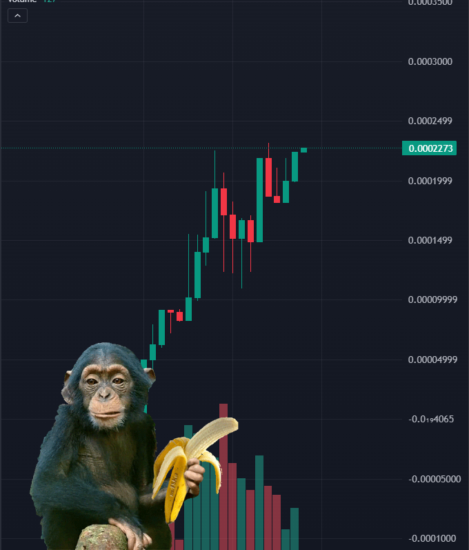 APE coin #SOLANA tweet media