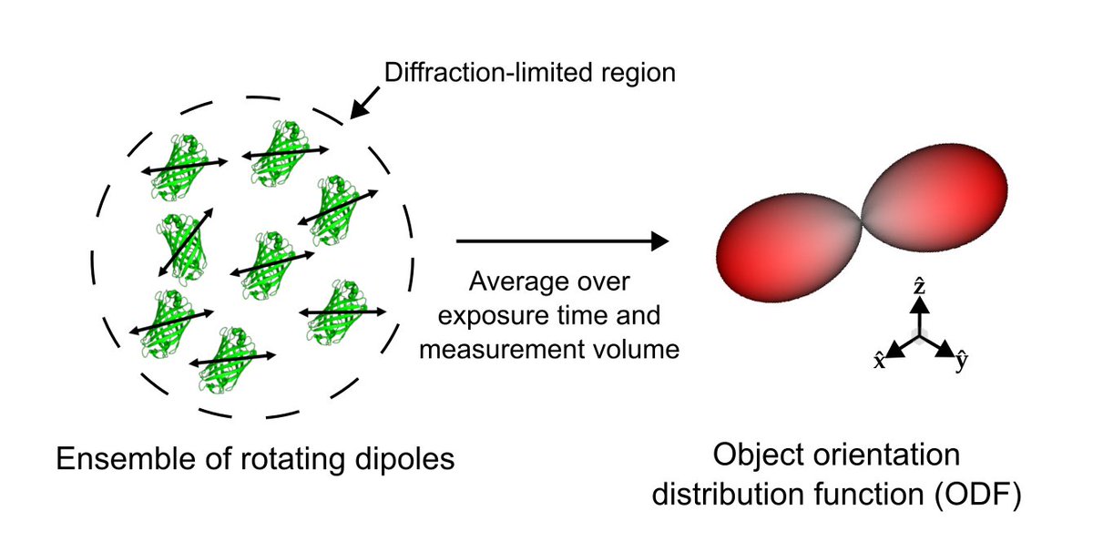 Talon Chandler tweet media