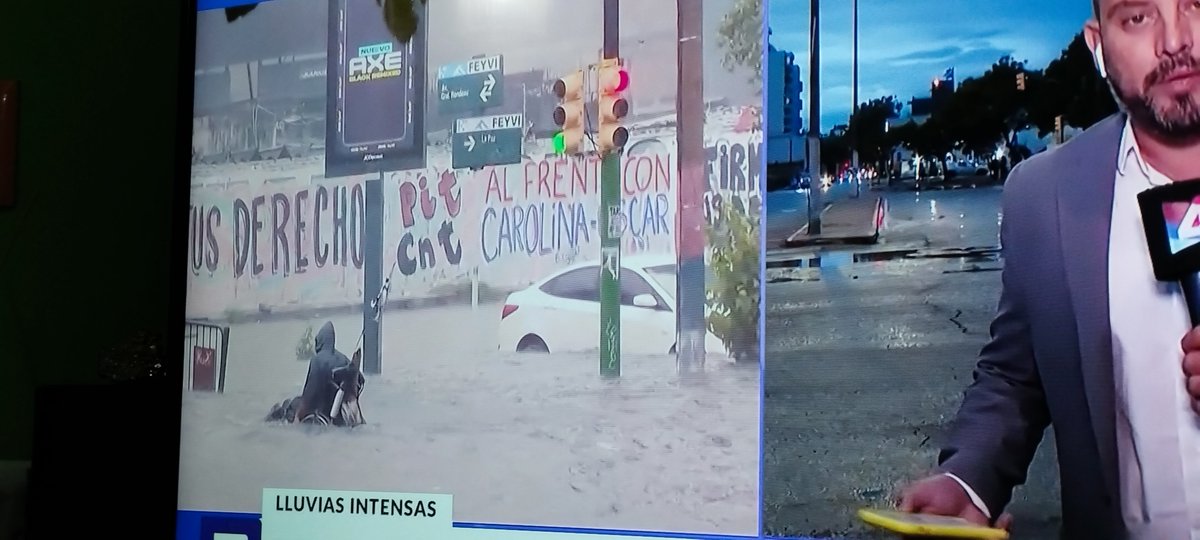 La IMM que NO funciona tweet media